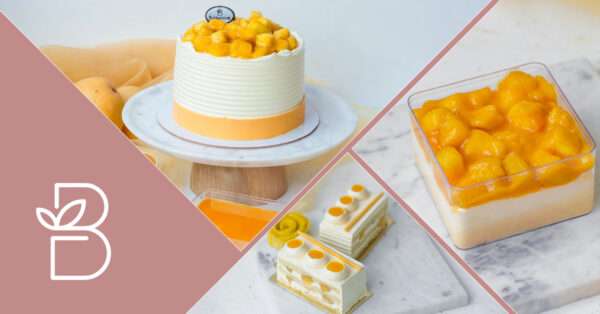 mango dream cake-bakelore